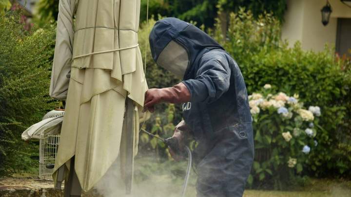 Désinsectisation à Auray